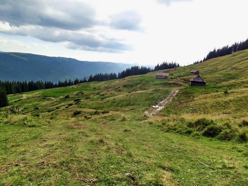 Явірник з panoramio.com - Яворник