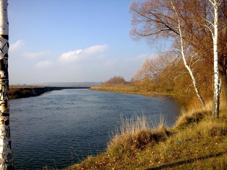 Новомутин з panoramio.com - Novomutyn