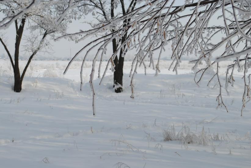 Меліоративне з panoramio.com - Мелиоративное