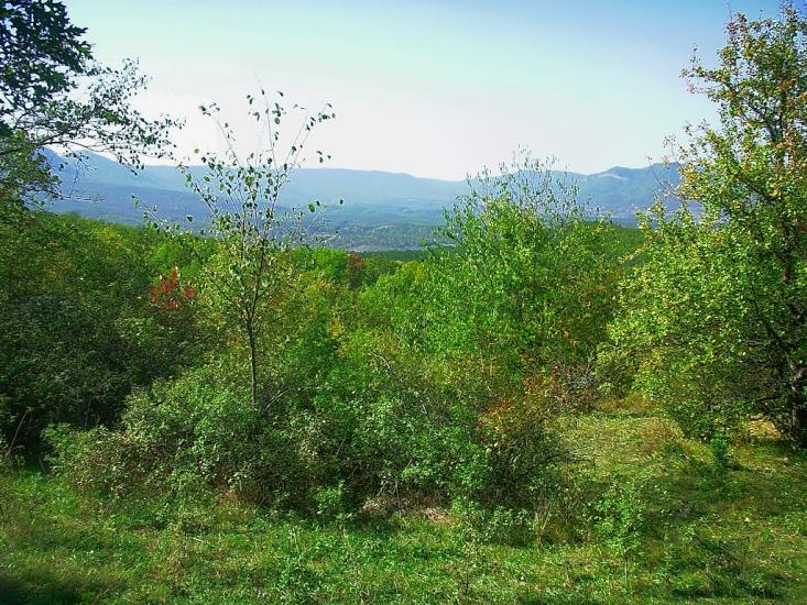Плотинне з panoramio.com - Плотинное