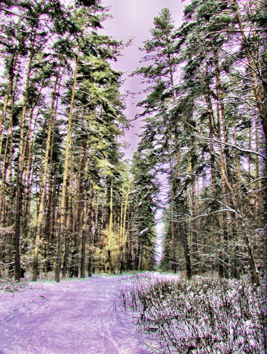 Озерне з panoramio.com - Озерное