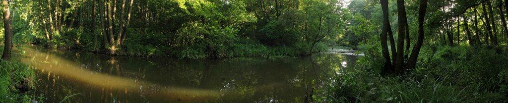 Іванковичі з panoramio.com - Иванковичи