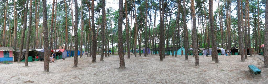 Верхоли з panoramio.com - Verkholy
