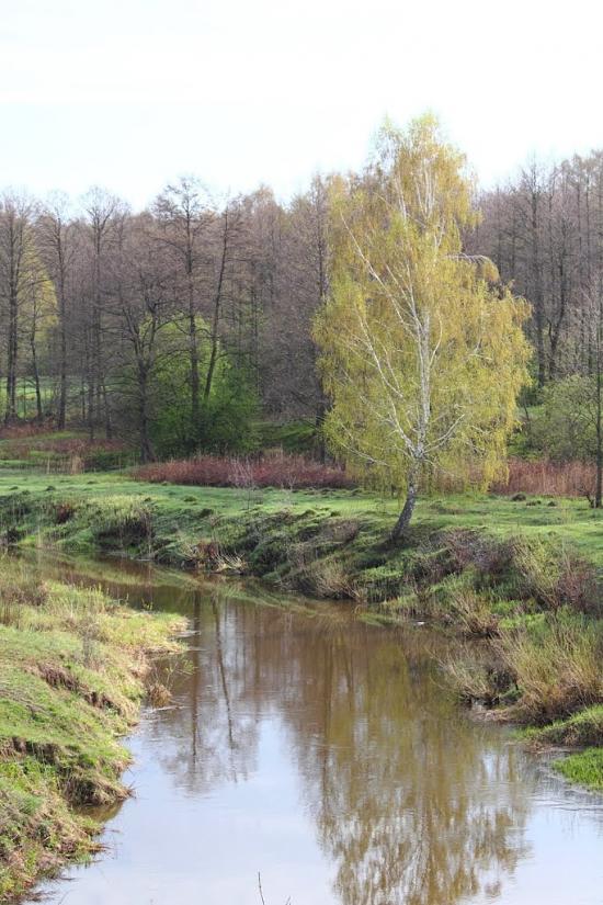 Курне з panoramio.com - Курное