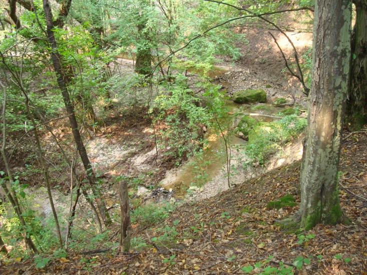 Маціорськ з panoramio.com - Мациорск
