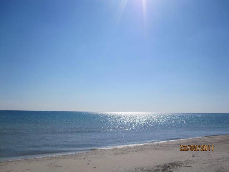 Більшовик з panoramio.com - Большевик