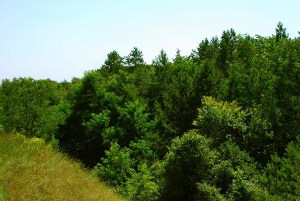 Верхній Салтів з panoramio.com - Верхній Салтів