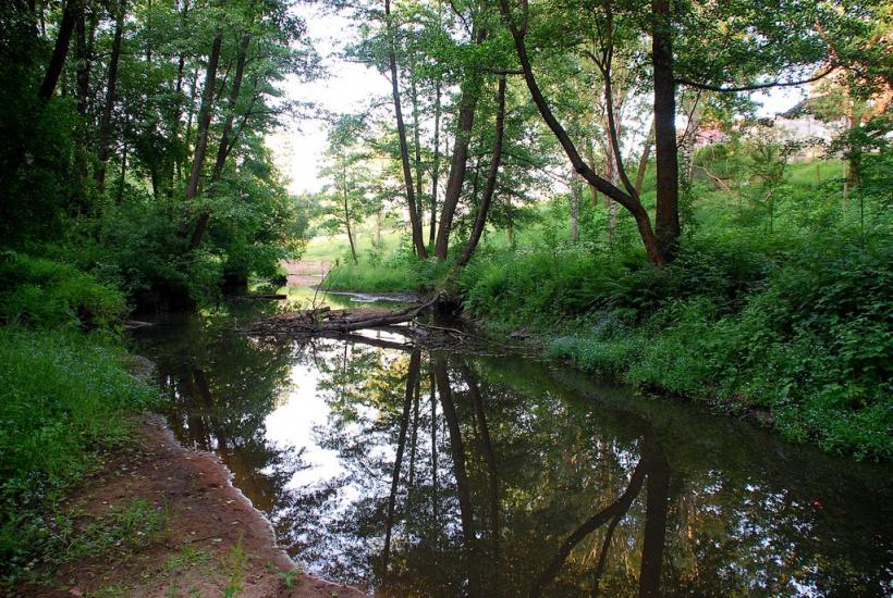 Довжик з panoramio.com - Довжик