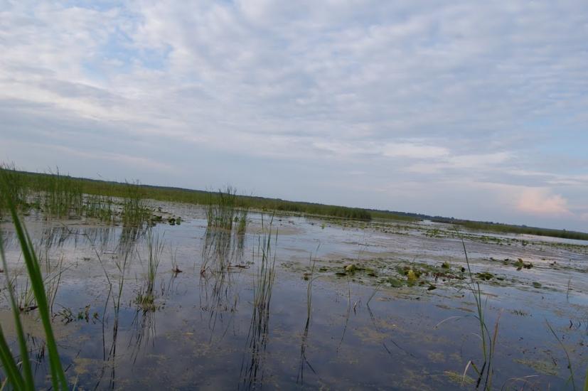 Щитинська Воля з panoramio.com - Щитинська Воля