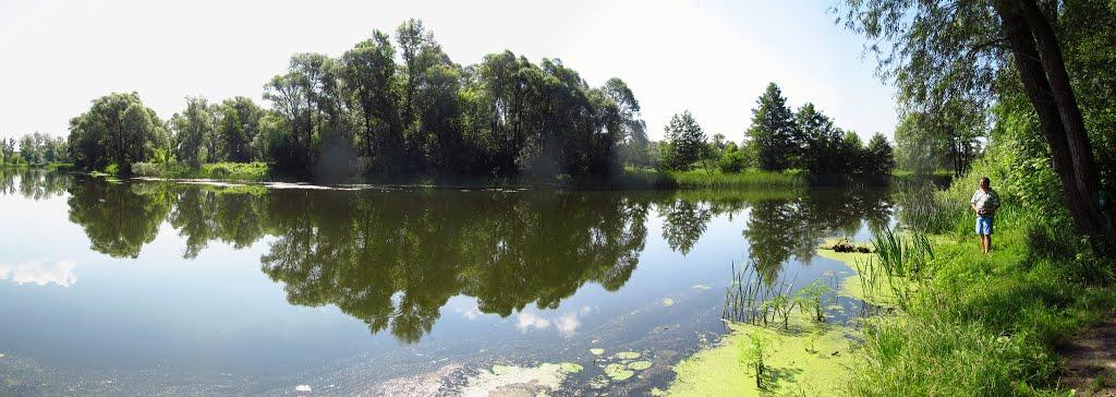 Приліпка з panoramio.com - Прилипка