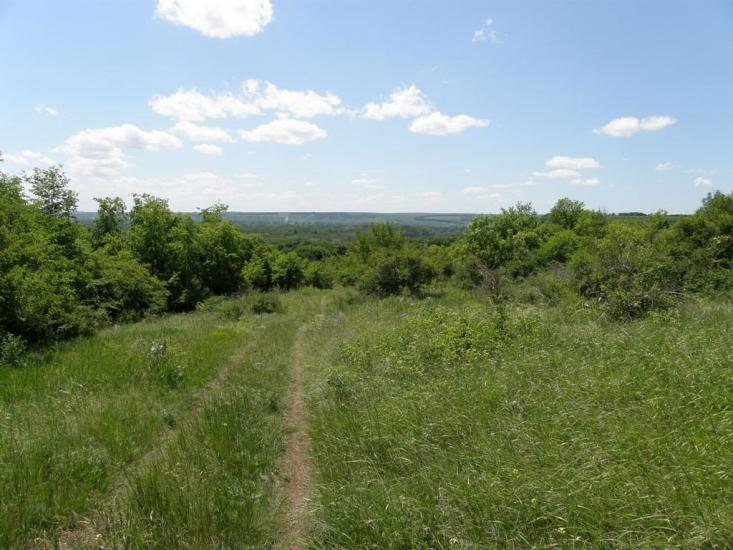 Пришиб з panoramio.com - Пришиб