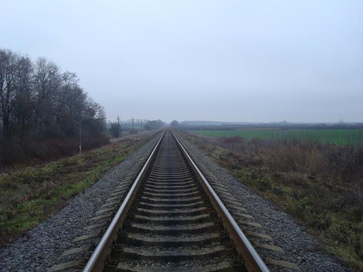 Воронківці з panoramio.com - Воронковцы
