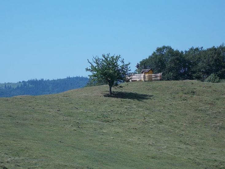 Прокурава з panoramio.com - Прокурава