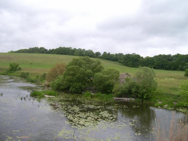 Веселий Кут з panoramio.com - Веселый Кут