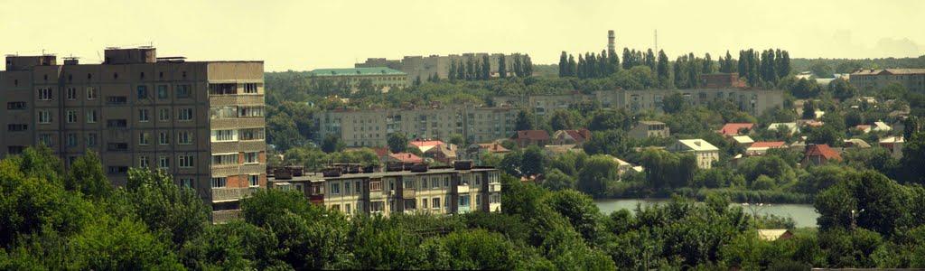 Зарванці з panoramio.com - Зарванцы