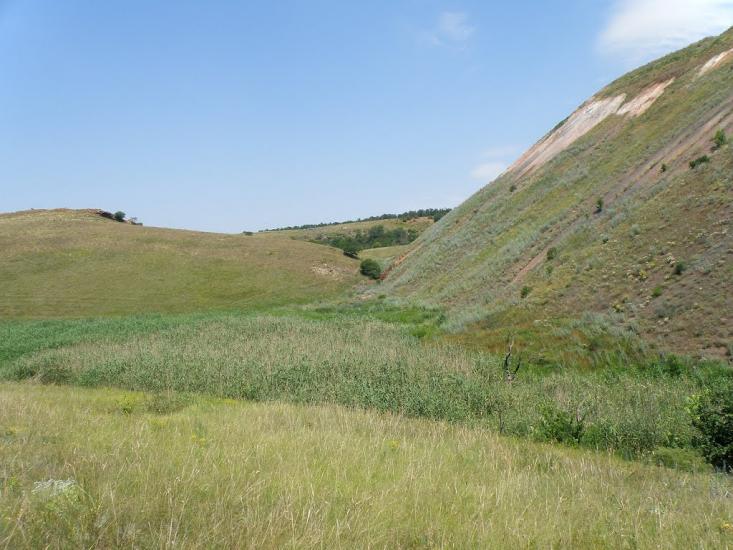 Княгинівка з panoramio.com - Княгиневка