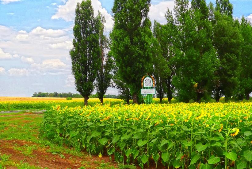 Суха Балка з panoramio.com - Суха Балка