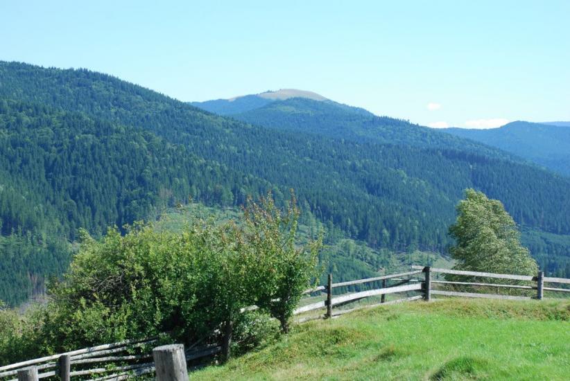 Бистриця з panoramio.com - Bystrytsya