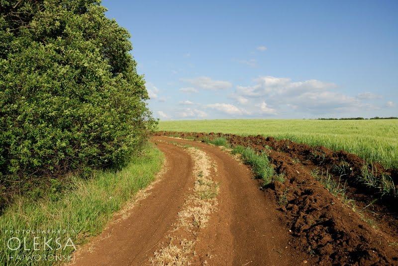 Вікторівка з panoramio.com - Викторовка