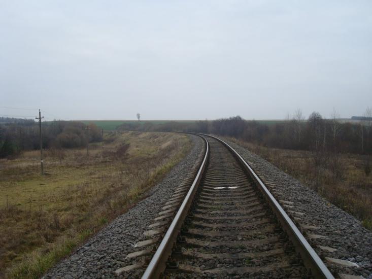 Радісне з panoramio.com - Радостное