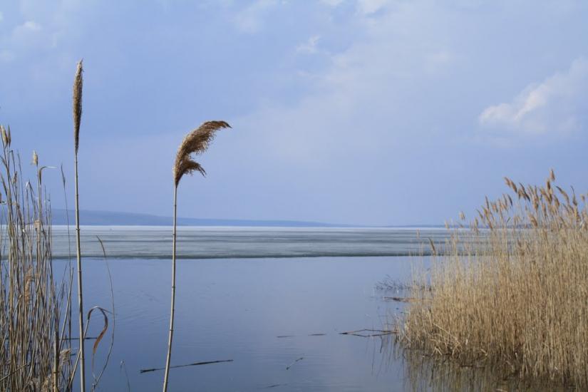 Новокомсомольське з panoramio.com - Новокомсомольское