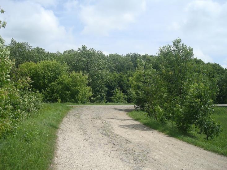 Черепова з panoramio.com - Черепова
