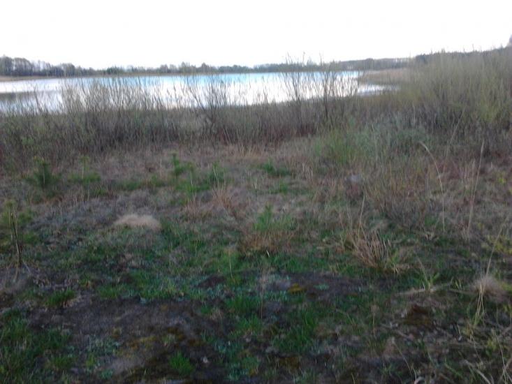 Слоут з panoramio.com - Слоут