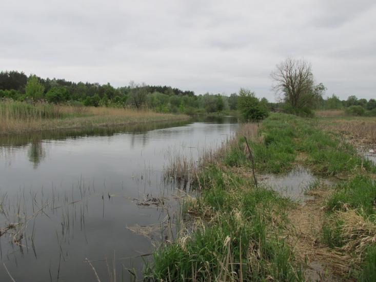 Дмитрівка з panoramio.com - Дмитровка