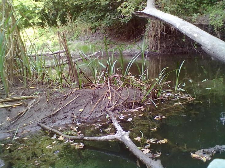 Бахмутівка з panoramio.com - Бахмутовка