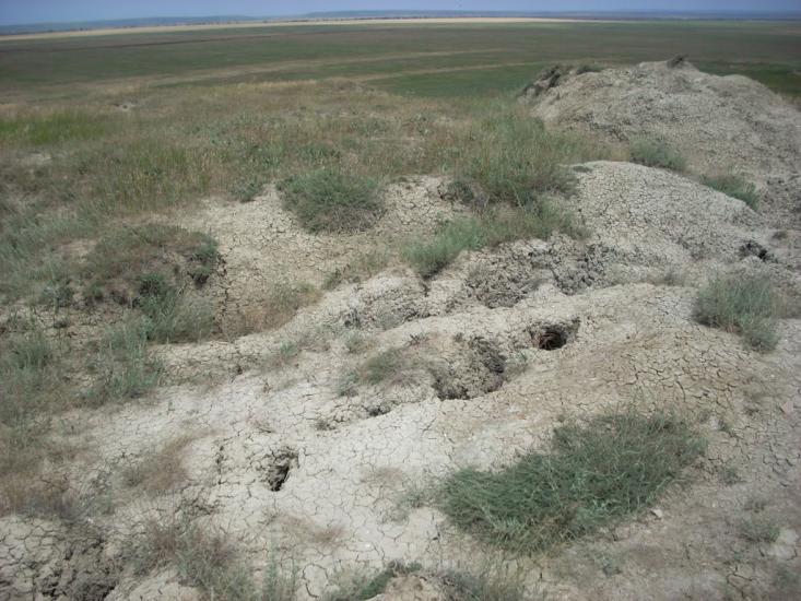 Вулканівка з panoramio.com - Вулканівка