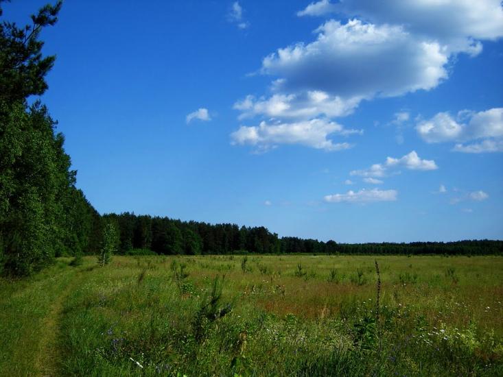 Нові Яриловичі з panoramio.com - Новые Ярыловичи
