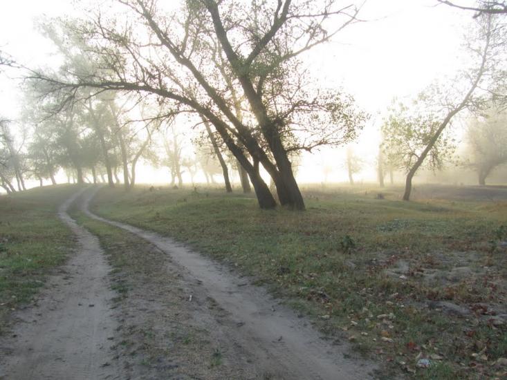 Пархоменко з panoramio.com - Пархоменко