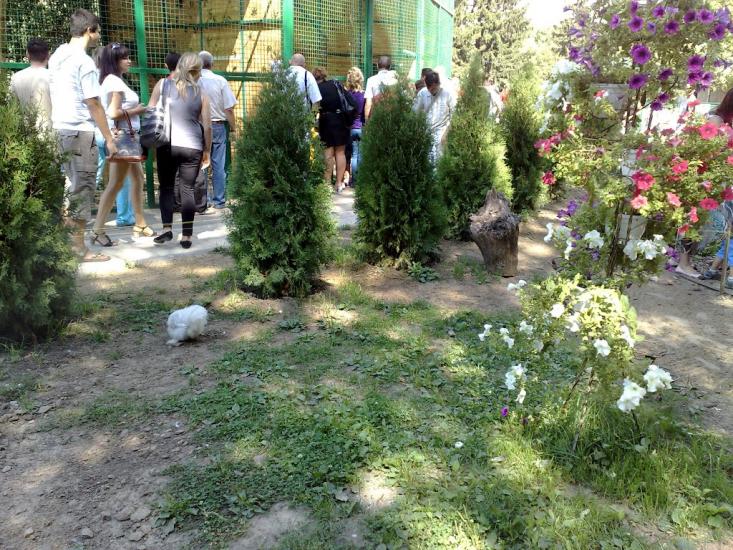 Лісне з panoramio.com - Лесное