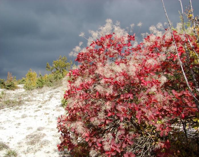 Кудрине з panoramio.com - Кудрине