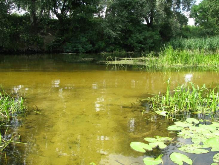 Гавронці з panoramio.com - Гавронці