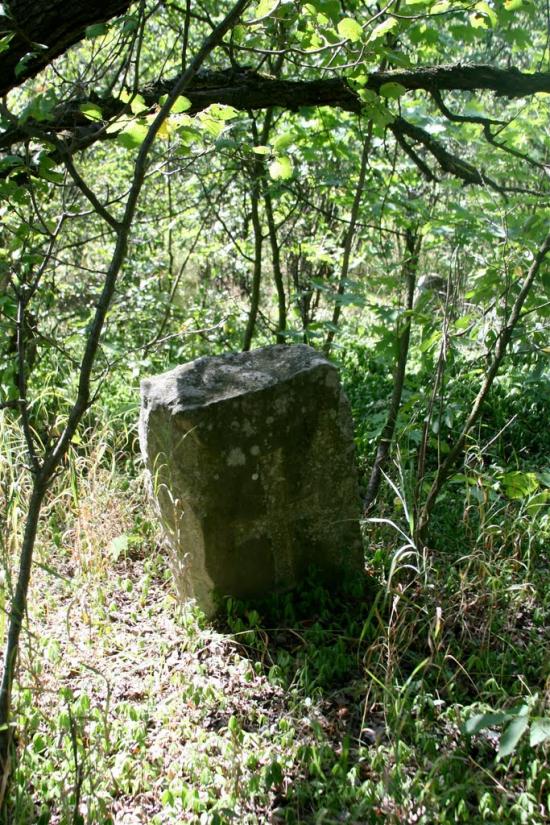 Луковиця з panoramio.com - Луковица