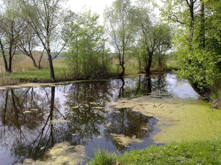 Хорол з panoramio.com - Хорол