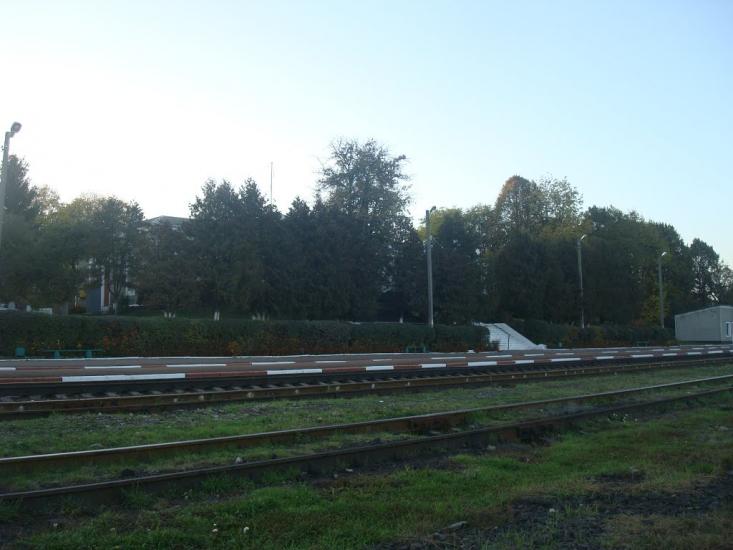 Томашівка з panoramio.com - Томашовка