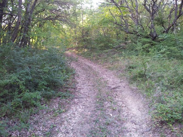 Лазарівка з panoramio.com - Лазаревка