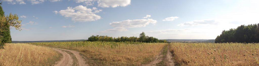 Пушкарівка з panoramio.com - Пушкарівка