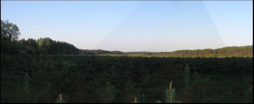 Лев'ятин з panoramio.com - Левятин