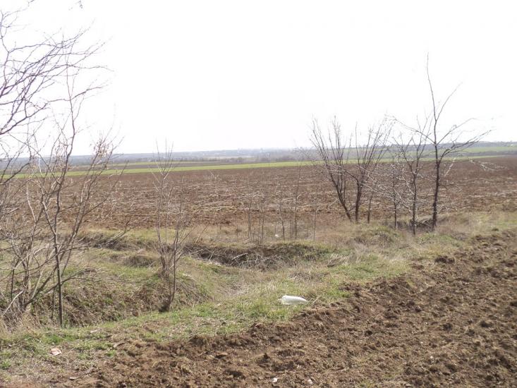 Коларівка з panoramio.com - Коларівка