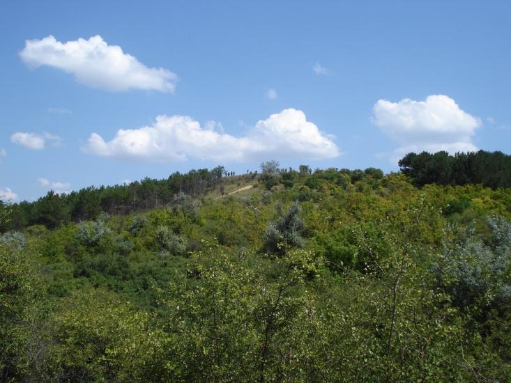 Алтестове з panoramio.com - Алтестово