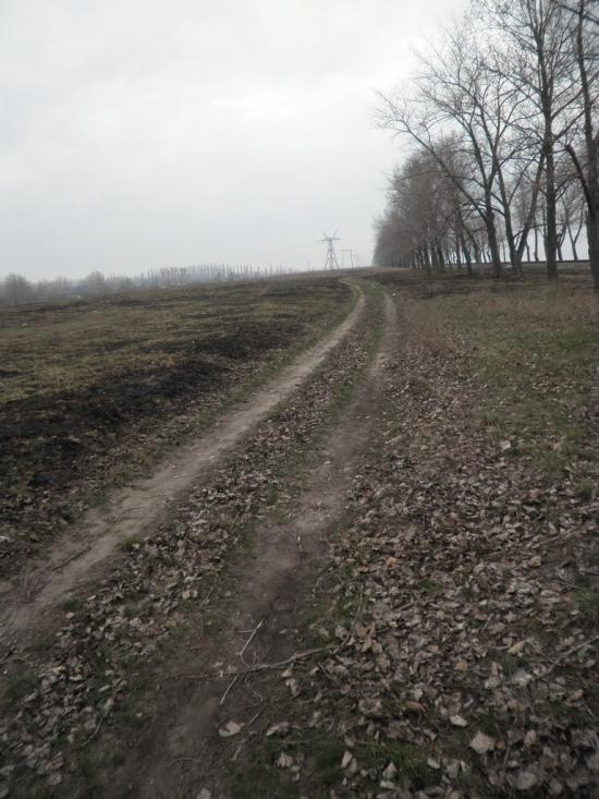 Недогарки з panoramio.com - Nedogarky