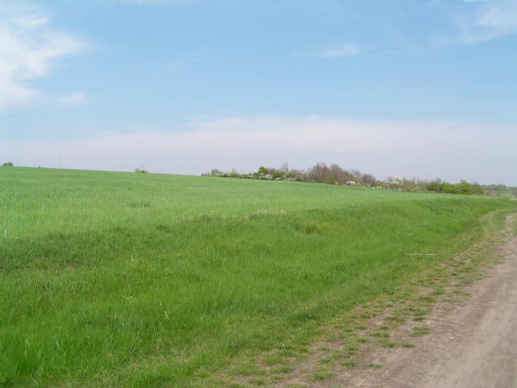 Ярошівка з panoramio.com - Ярошовка