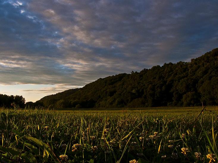 Журавно з panoramio.com - Журавно
