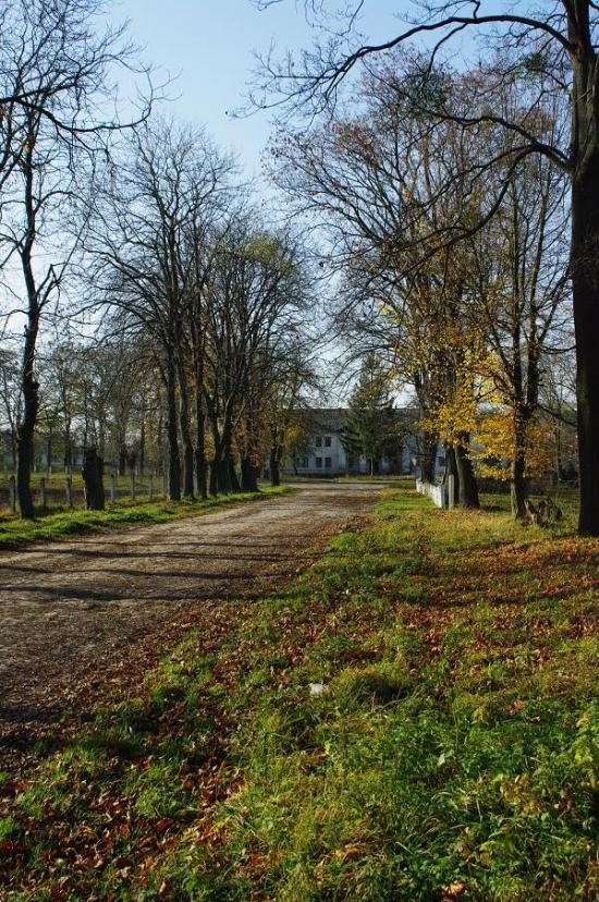 Мізоч з panoramio.com - Мізоч