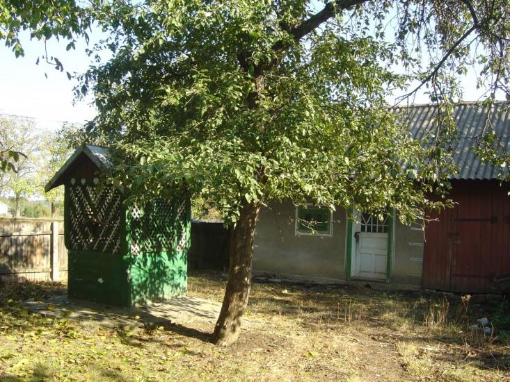 Кліводин з panoramio.com - Кліводин