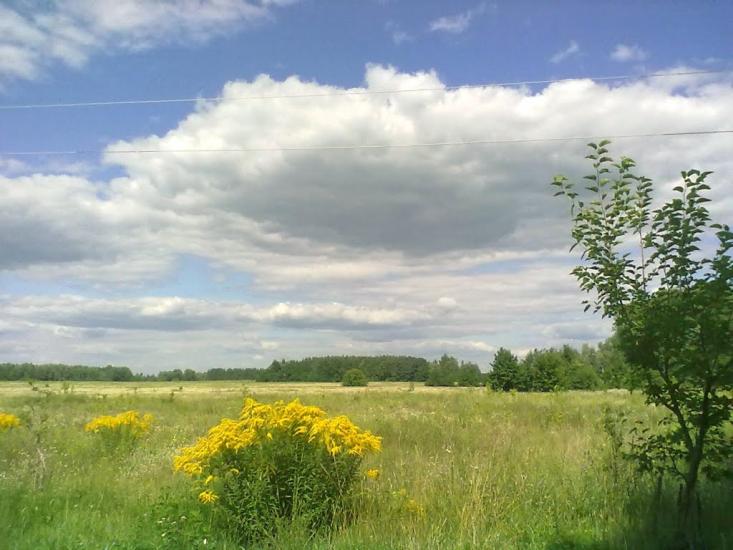 Рудня з panoramio.com - Рудня