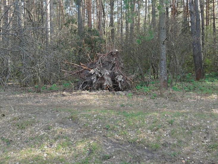 Долина з panoramio.com - Долина